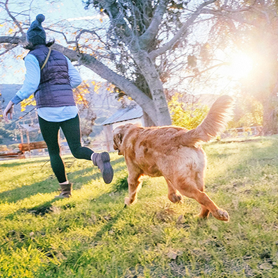 guardería canina a domicilio en burgos
